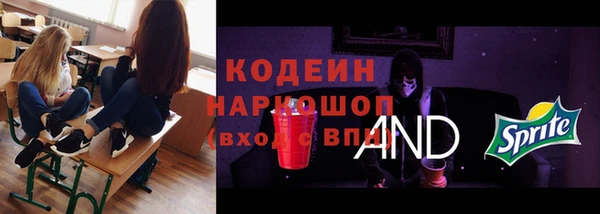 ECSTASY Вяземский