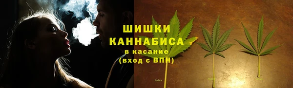 ECSTASY Вяземский