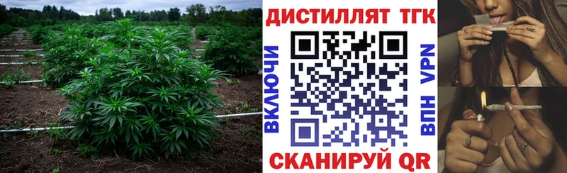 Купить  Полярные Зори  Дистиллят ТГК Wax 