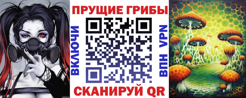 Галлюциногенные грибы MAGIC MUSHROOMS  Купить где  Полярные Зори 